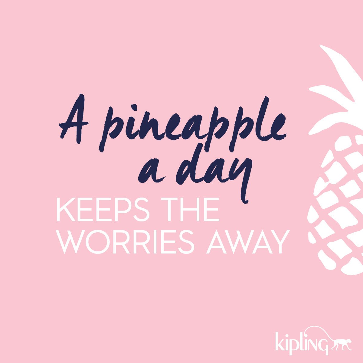 KiplingGlobal's tweet photo. Don't worry, be happy… It's Friday! :) #KiplingSummer https://t.co/tNYjAhIjs9 https://t.co/NskGMu9XPM
