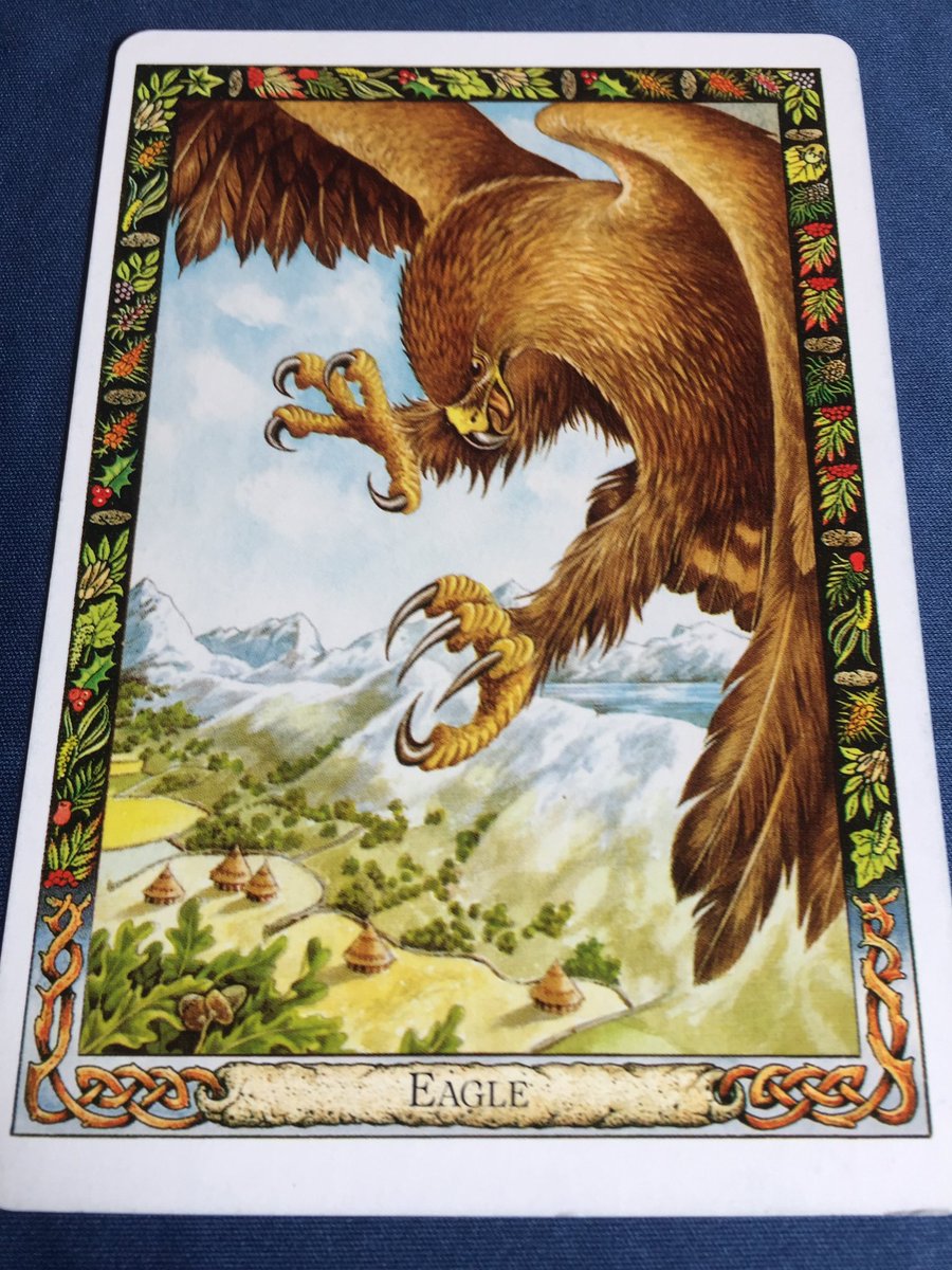 GhostQueenPara's tweet image. #DruidAnimalOracle ~ Intelligence, Renewal, Courage