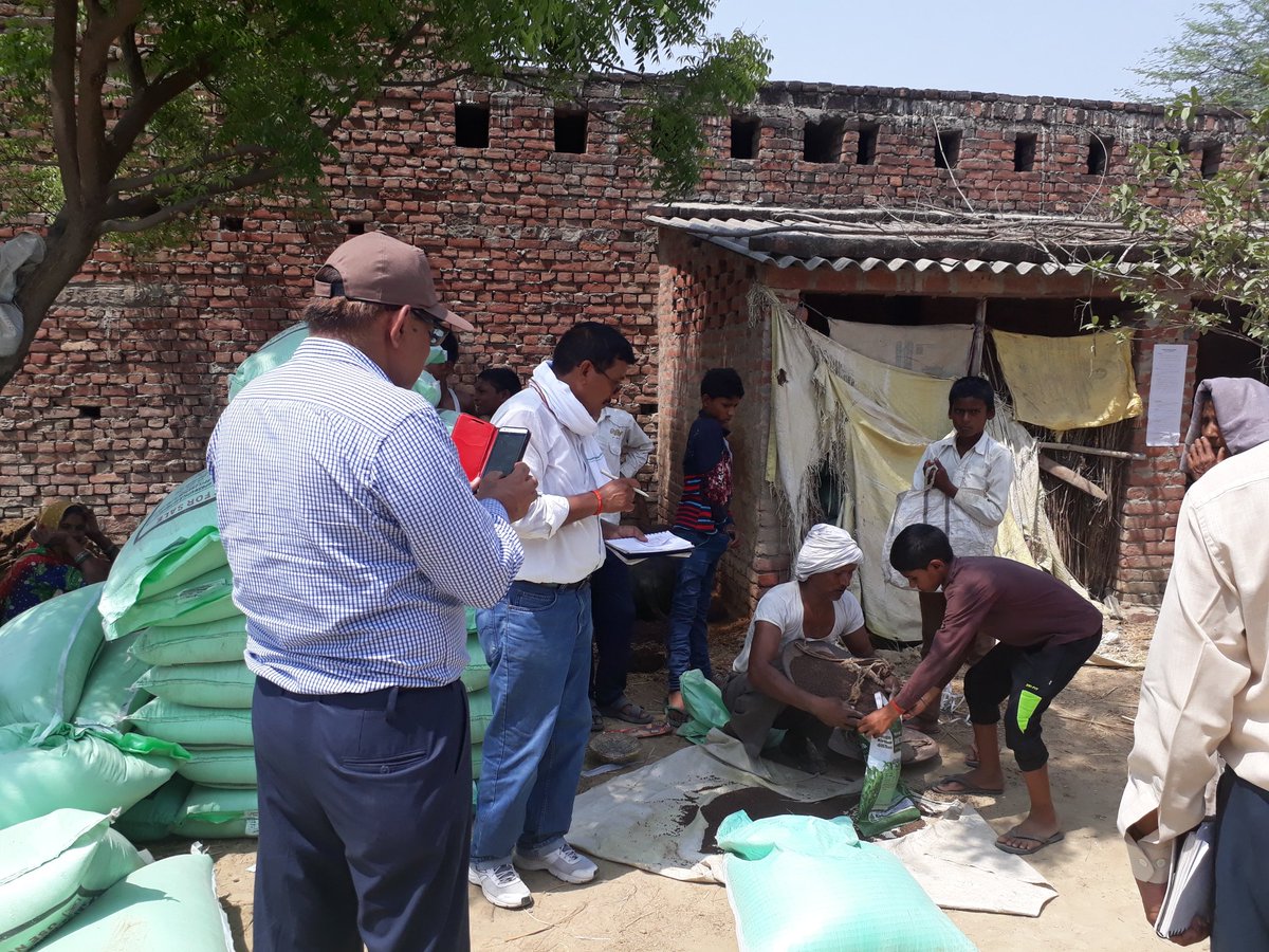SCPandeyji's tweet photo. Dhaincha Distribution in Allahabad 11.05.2017 Village Banka jalalpur https://t.co/aGPxnmromK