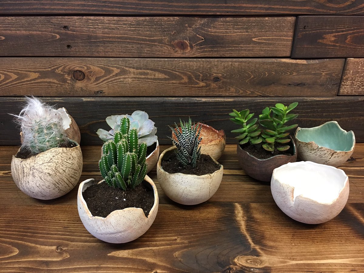 MyhomeApparel's tweet photo. So many adorable succulents in the shop in #CanadianMade pots! Perfect for Mom! #MothersDay2017 #thanksforhelpingmegrow https://t.co/S3kWOtubwL