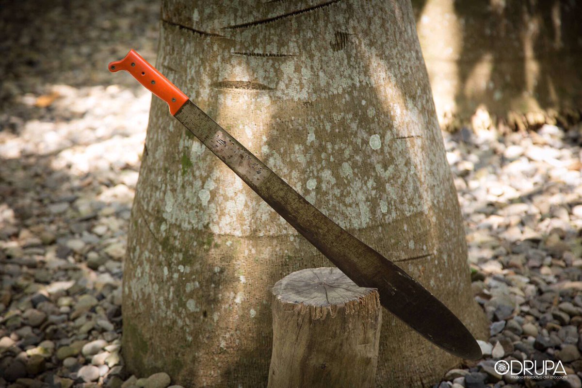 Estamos listos para recibirte en casa!