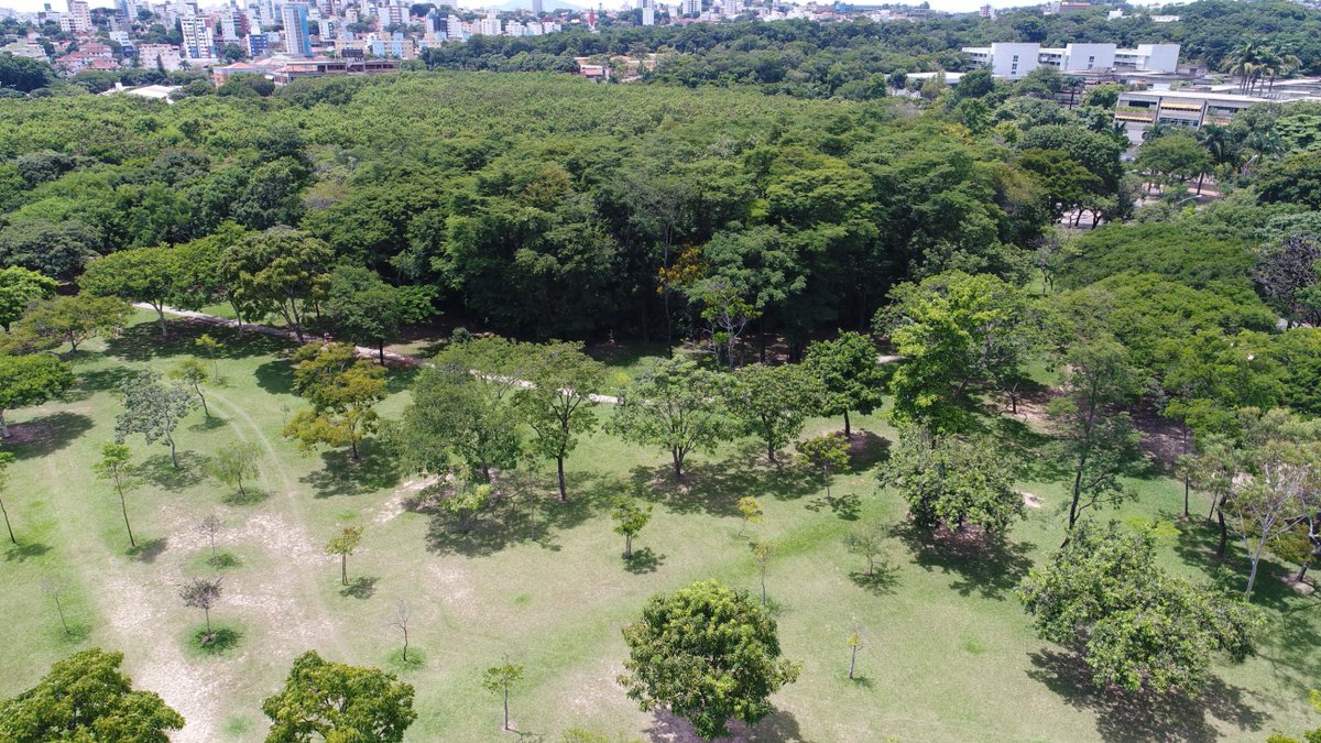LoopDrones's tweet photo. Um dos pulmões de BH... #UFMG #Pampulha #verde #LOOP #Loopdrones #imagensaereas #phantom4pro #mata #bosque #bosquinho https://t.co/MtW0sVaF2N