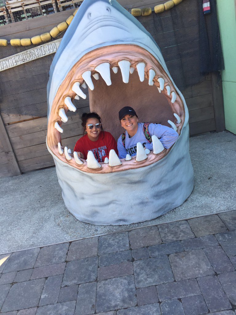 MrsLucabaughPE's tweet photo. Bluffton 7th grade staff is taking over the @fwkidszoo today! #BHMSRocks #surfingUSA #sharkattack https://t.co/ffIm7TzO1r