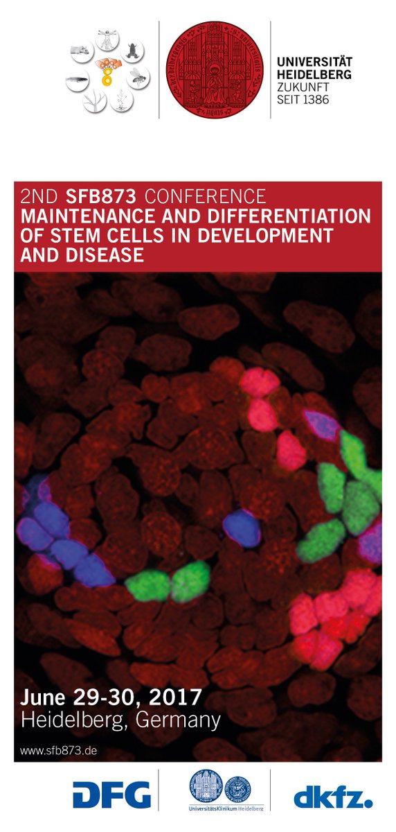 Boutroslab's tweet photo. International conference on stem cells in development and disease June 29-30 @UniHeidelberg https://t.co/5wzw4uJyht @dfg_public #SFB873 https://t.co/qW5swtT1iQ