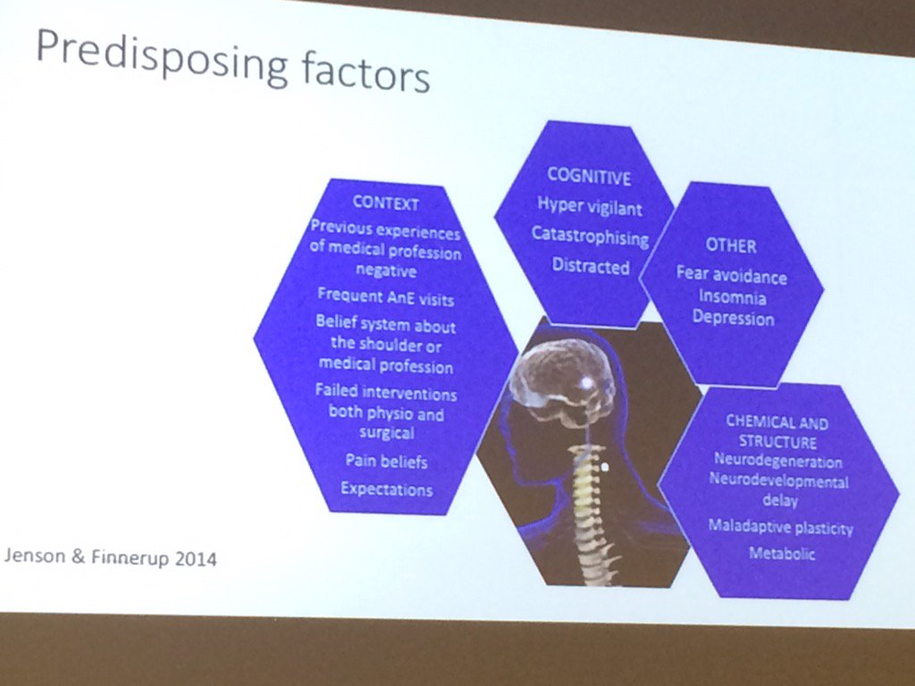 jophysiowinton's tweet photo. Recognising patients at risk of chronic shoulder pain @Tanya_Anne #LULUmasterclass2017 https://t.co/8oyxPjATfA