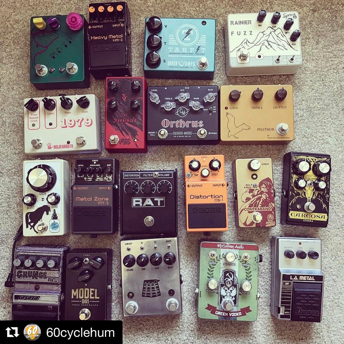 📷: @60cyclehumcast 
Happy #fuzzfriday, y'all