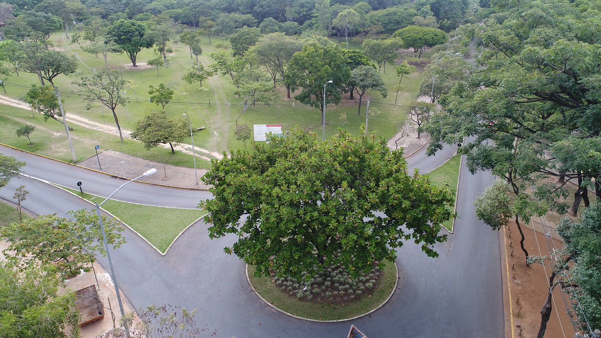 LoopDrones's tweet photo. Um vaso de árvore #doaltoeuvejo #loop #loopdrones #pampulha #ufmg ##SextaDetremuraSdv #diadoenfermeiro # edmundo #siga #bh #mg #minasgerais https://t.co/qVElGQXDCL