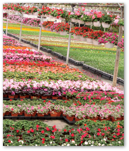 GreenhouseMag's tweet photo. .@PPAnews is gearing up for its 35th annual Perennial Plant Symposium, July 23-28. #ppadenver https://t.co/5IZBDeqpvD https://t.co/ovWCyvxUl9