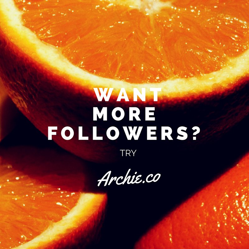 sir_aussie's tweet photo. Would you like to reach more people on Twitter? https://t.co/7b9OAhbohM @tryarchie https://t.co/9DUAK8Cref