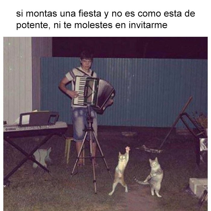jezucrihto xd tweet media