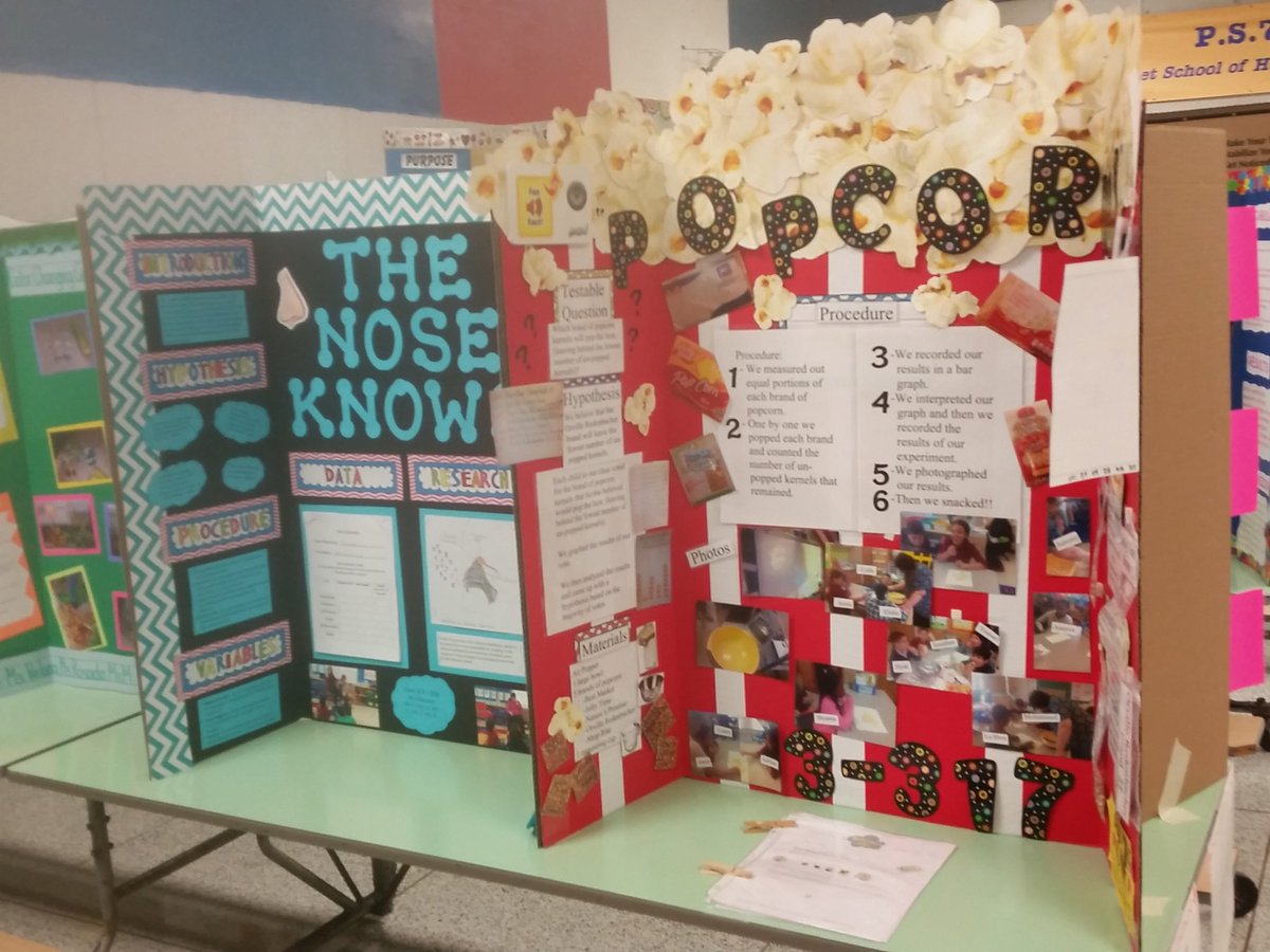 Cindy (@sciencewhalen) on Twitter photo 