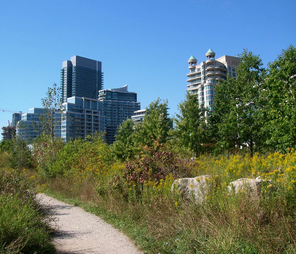 jen_keesmaat's tweet image. Butterfly garden at Humber Bay Shores in our suburbs: facilitating #BiodiverseTO #CProundtable #GreenCity