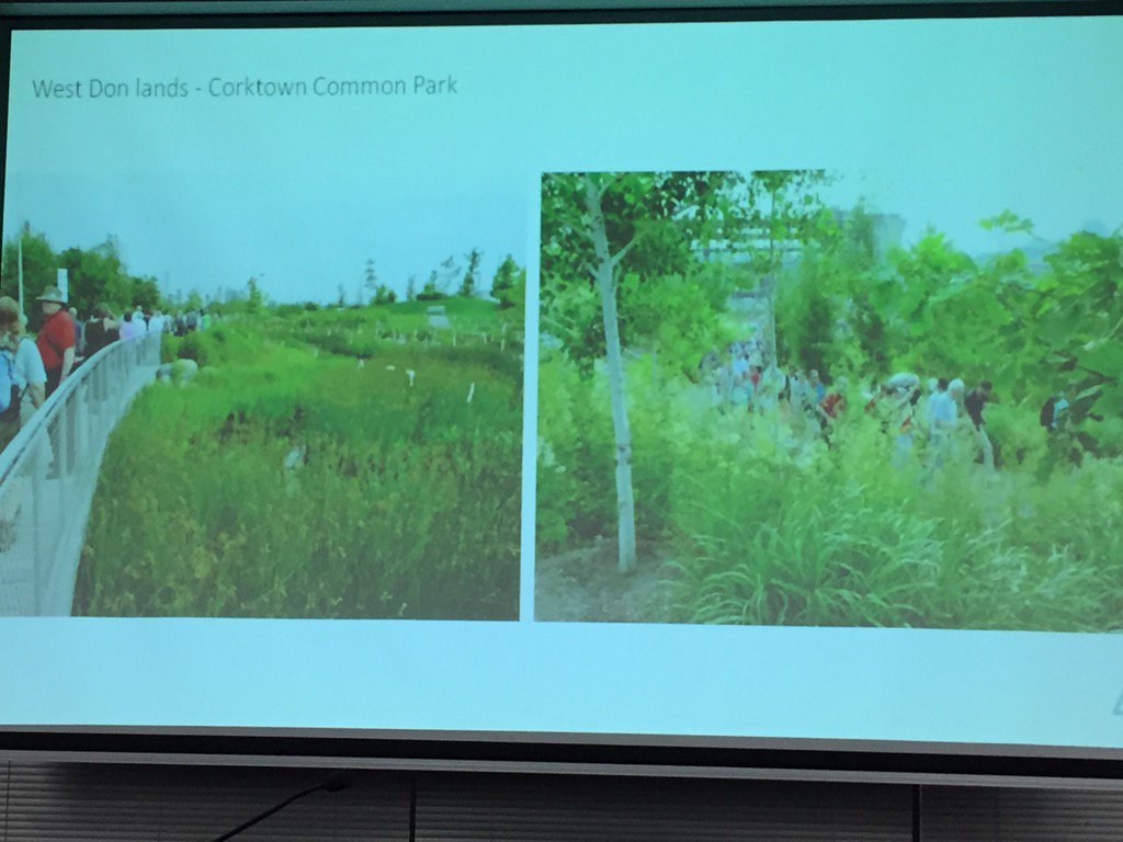 SarahEDoucette's tweet image. Richard Ubbens of @TorontoPFR shows how we naturalize space and plant pollinating gardens #CProundtable #biodiverseTO