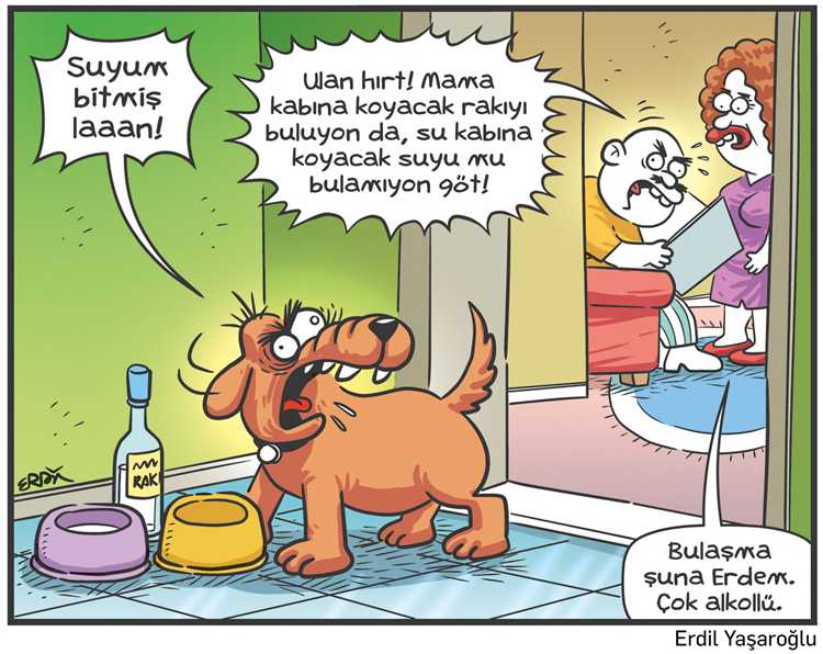 Jinsiy komik dozax
