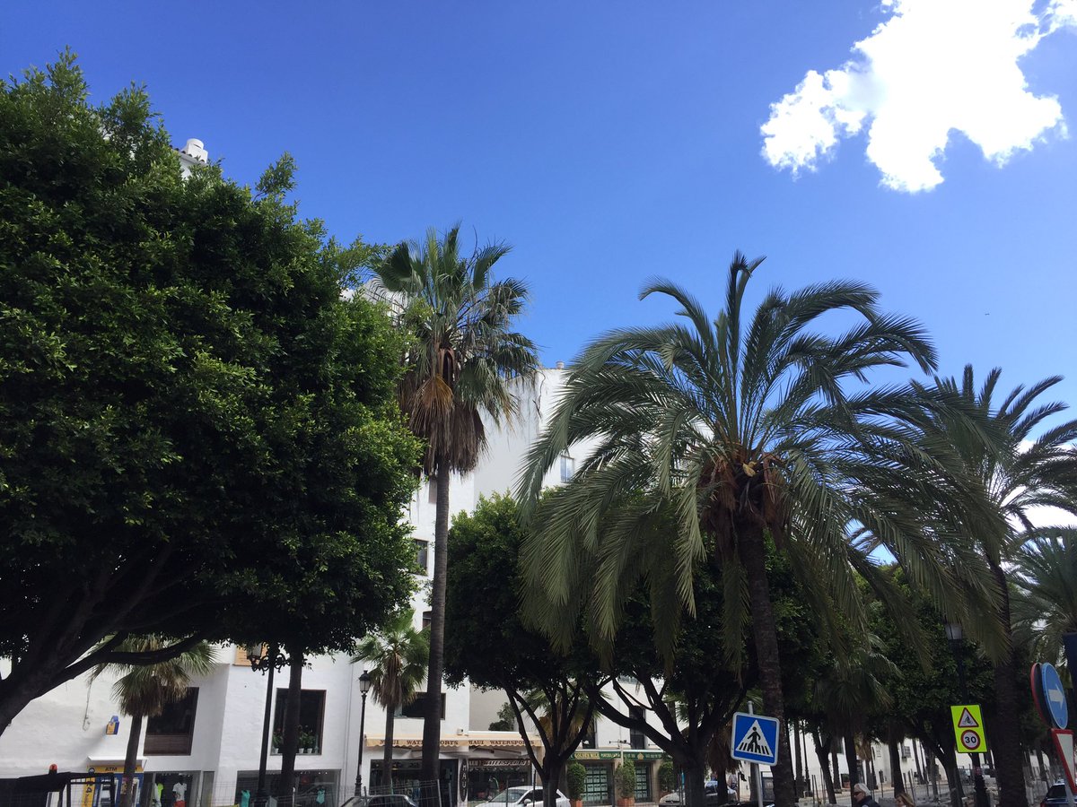 Roads of Puerto Banus telling me <a href="/CandypantsMarbs/">Candypants Marbella</a> tonight 🎉🔥 🚀 make sure to get down to <a href="/BabiloniaMarbs/">Babilonia Banus</a> @BijouxMarbella