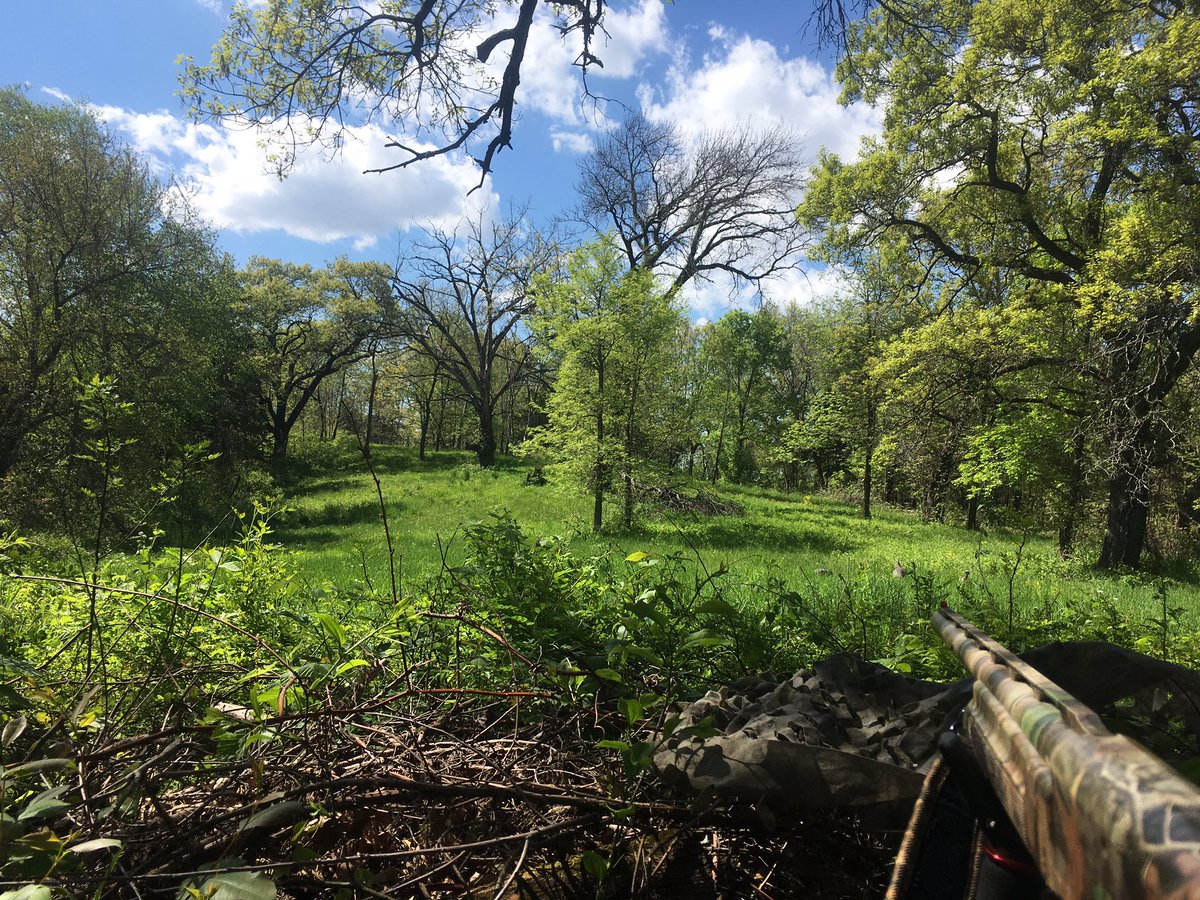 hill_jack_'s tweet photo. Slow, but beautiful day in the woods. #turkey #hunting #spring #upsince3 https://t.co/FUGgwl4fTx
