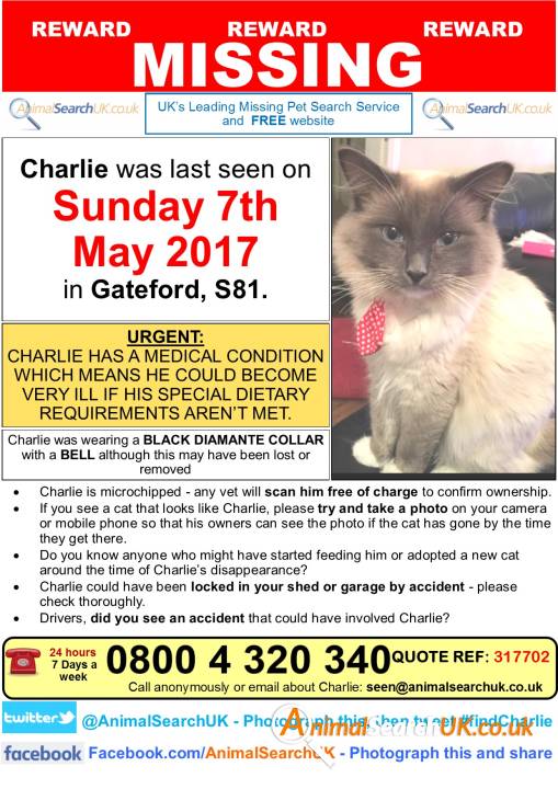AnimalSearchUK's tweet photo. PLZ RT @RSPCANottingham @NottinghamVets @Nottingham_Post #missingcat #gateford #worksop #notts #s81 #findcharlie
https://t.co/iddCvAEdNG https://t.co/t2MxHo9VCU