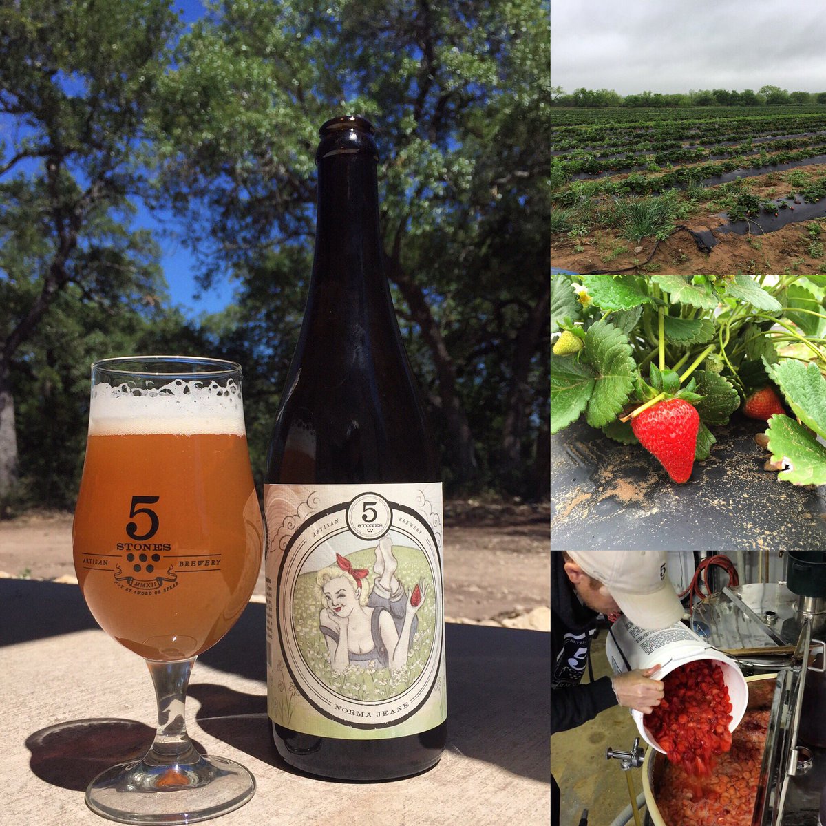 We are pleased to release Norma Jeane this week. We used roughly 3 pounds of strawberries per gallon brewed to create Norma Jeane. Cheers!!