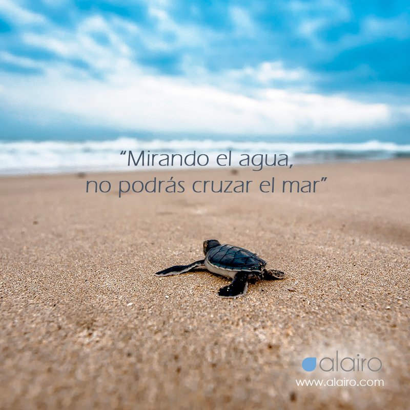 alairo_nautica's tweet photo. ¡Feliz viernes! :)
#alairo #nautica #FelizFinde #FelizViernes #nautique https://t.co/ZkIpYxoz43