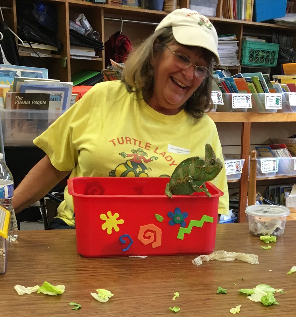 LincolnElem's tweet photo. Kevin the chameleon come out to say hello!
#EnrichmentDay https://t.co/Nx815AKnOA