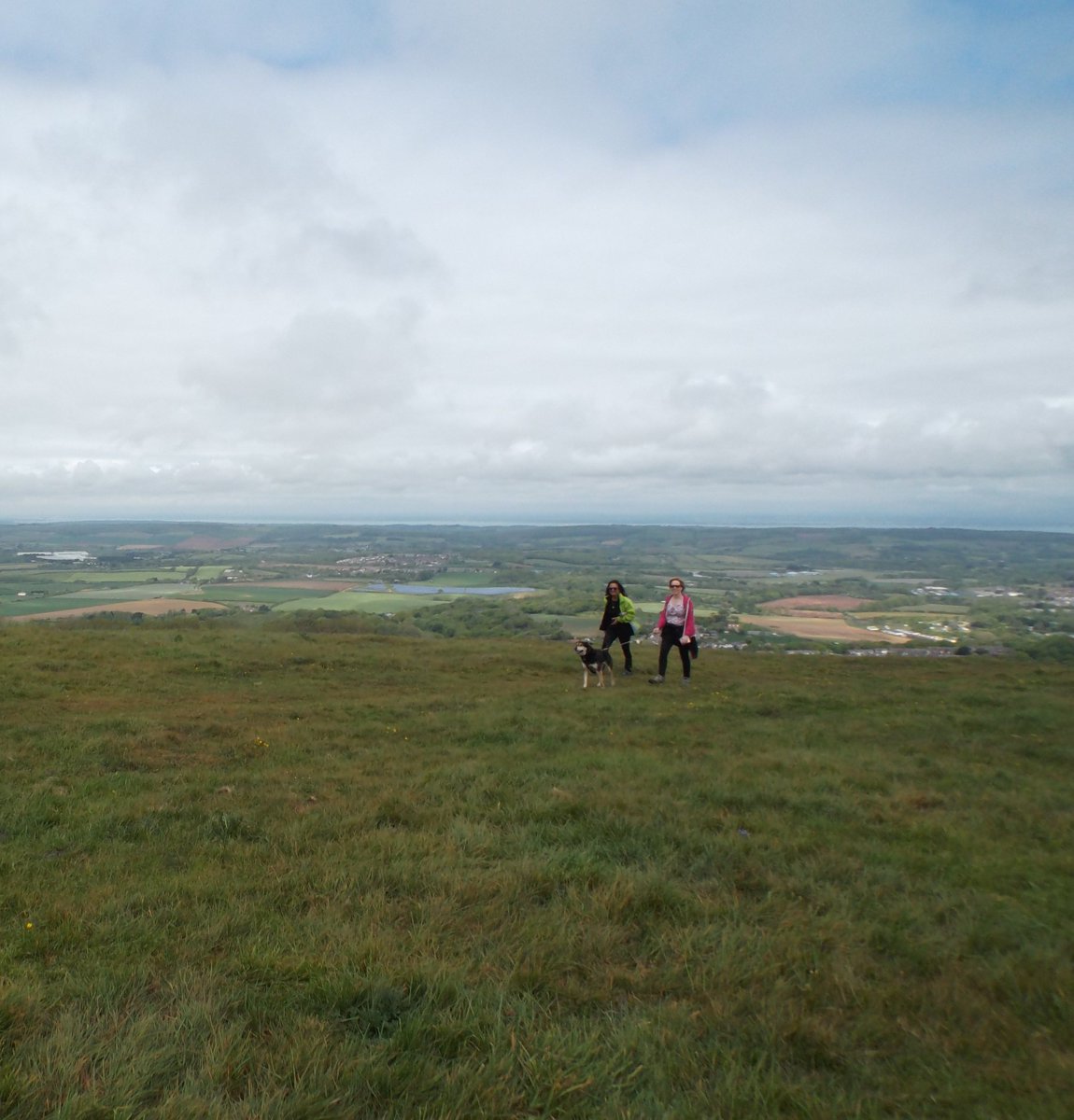 riowight's tweet photo. #hiking #rambling #walking #IsleWalk17 #downs #views #scenery #ShanklinDown #IsleofWight #IWRamblers https://t.co/IXPrWKklbd