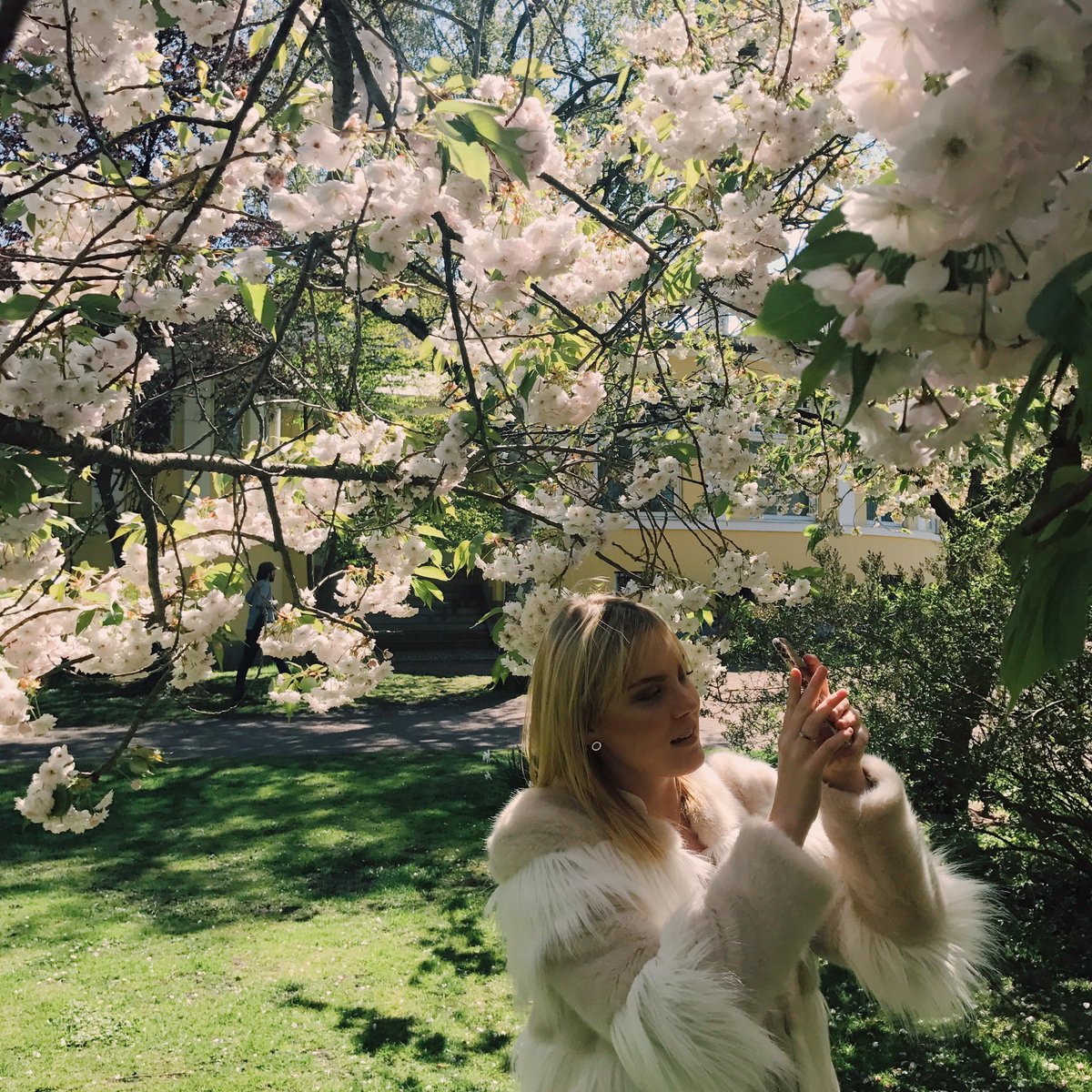 blaharry's tweet photo. Today was beautiful https://t.co/DFYKoj1d9K