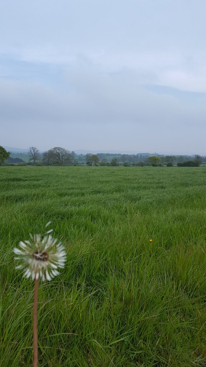 Spring in The Valley! #RibbleValley #Lancashire