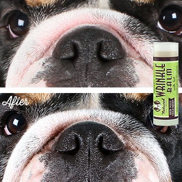 NaturalDogCo's tweet photo. ⭐ Save 20% right now on our award-winning, patented, and organic #WrinkleBalm with code GOGREENWB at https://t.co/V4mtrl4kYF ⭐ (ends 5/14) https://t.co/wJutMpN7Ok