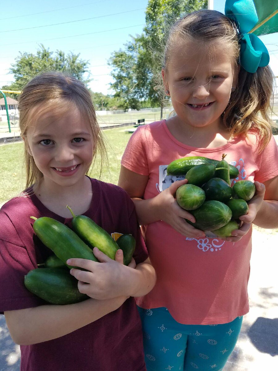 Jeanette Hayes Elem tweet media