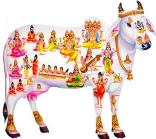 Suresh kumar dewasi (@sureshs86460827) on Twitter photo 