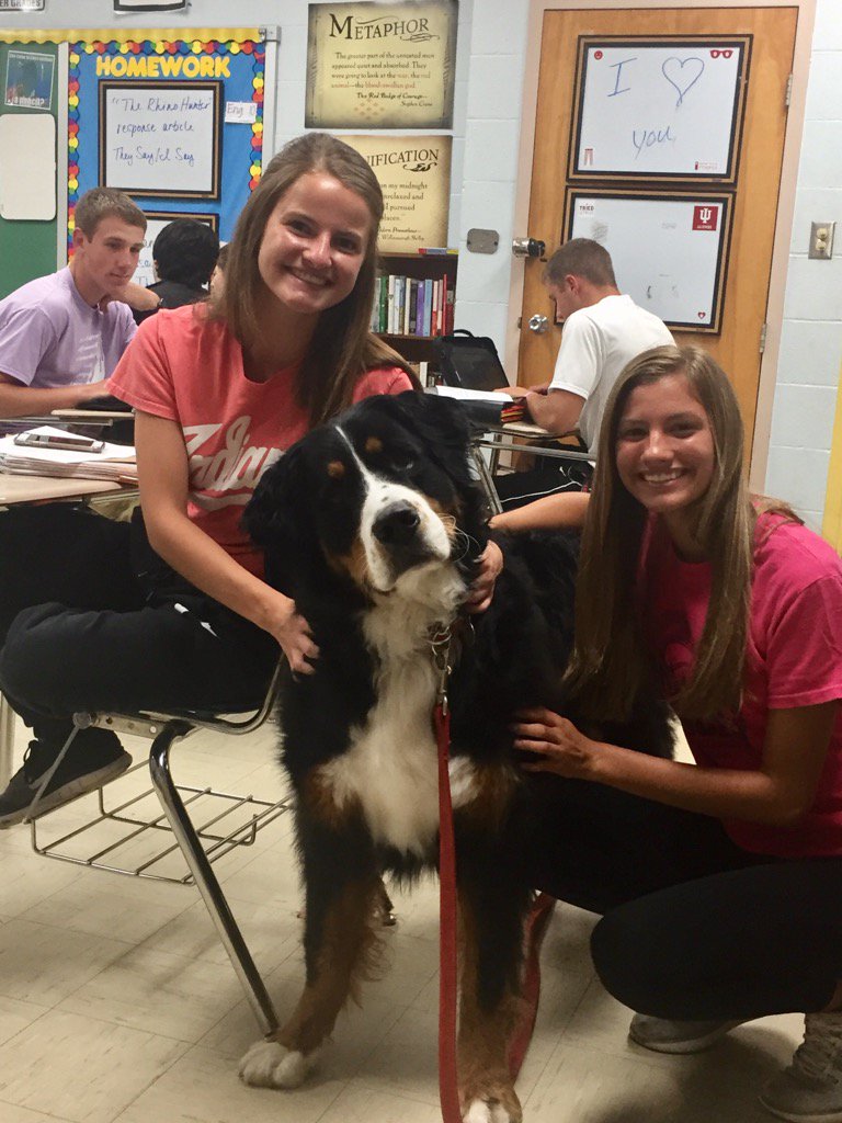 HohlLHS_ELA's tweet photo. Atticus helping the girls with their Podcast project! #LionPride @LoogooteeSupt @LoogooteeHS https://t.co/F0ish0owvu