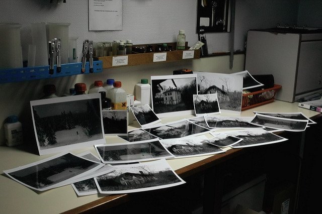 PopulusPhoto tweet picture
