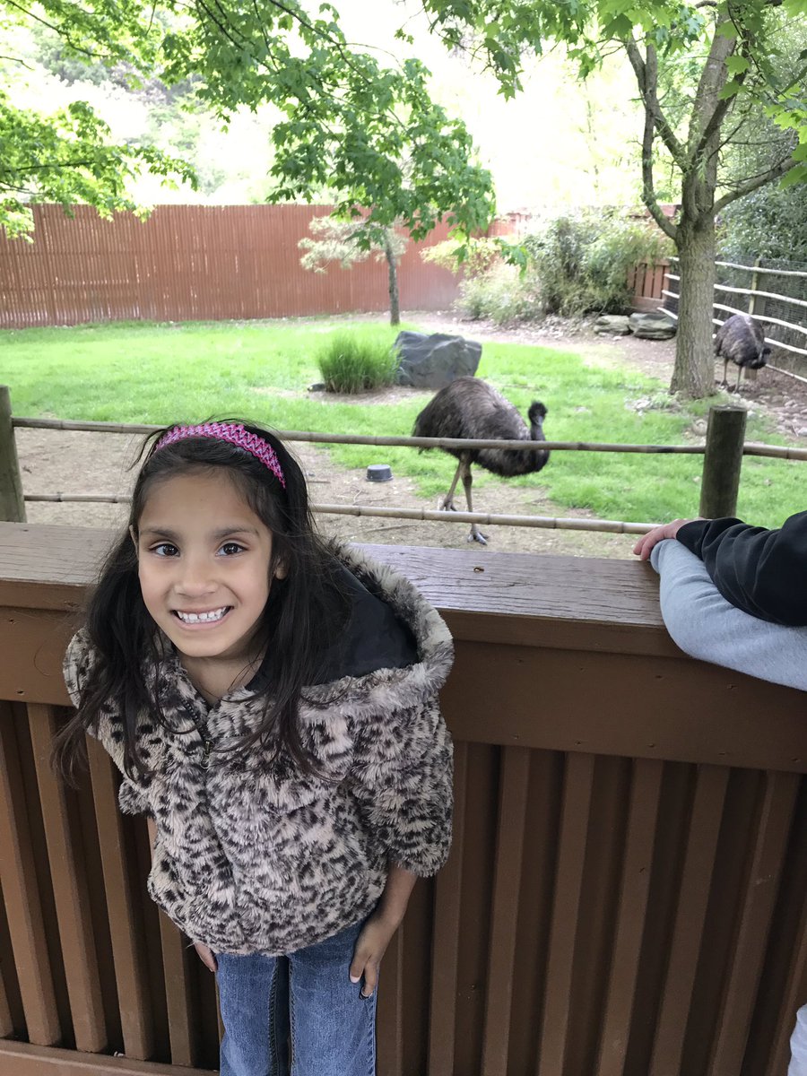 MoyerVF's tweet photo. Visiting with emus at the Lehigh Valley Zoo. #communitybasedlearning #languageopportunities https://t.co/mXTiCUkfIw