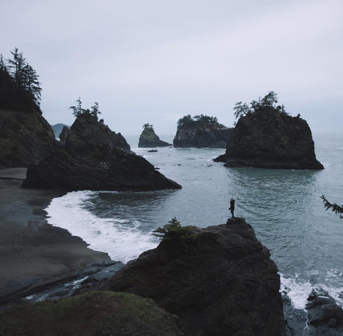 coffee_n_mtns's tweet photo. Oregon Coast https://t.co/92d6vUgA4k