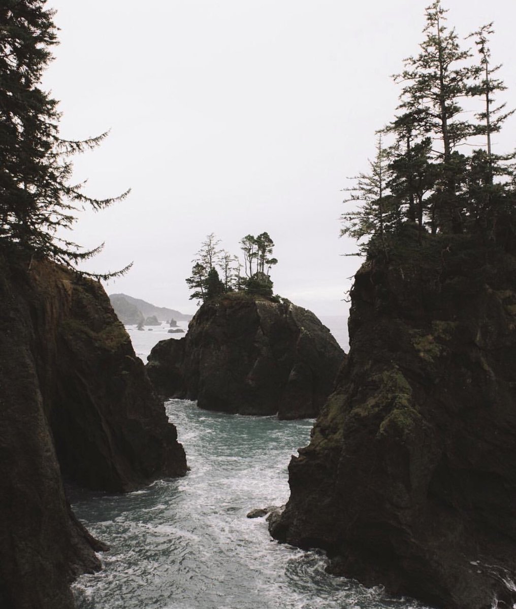 coffee_n_mtns's tweet photo. Oregon Coast https://t.co/92d6vUgA4k