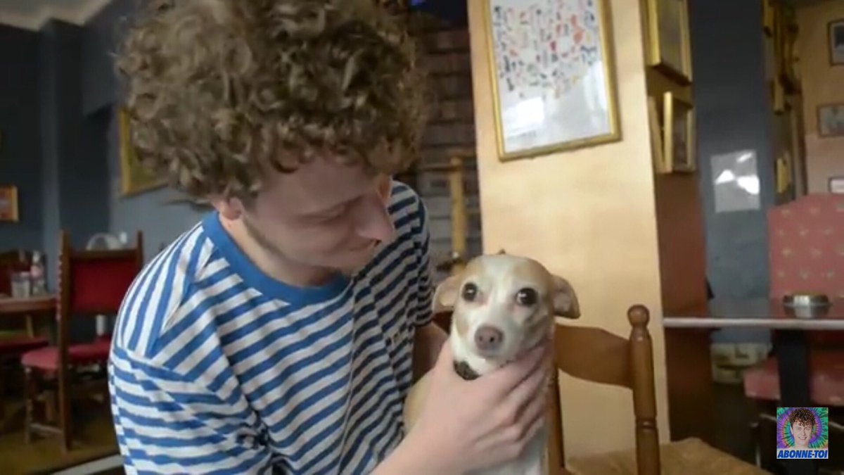 NeckDogs's tweet image. Merci à @NormanDesVideos pour la participation !