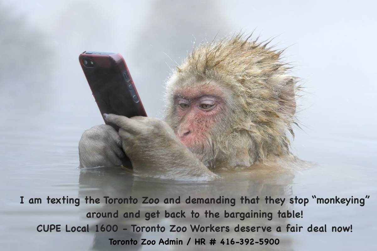 CUPEOntario's tweet photo. CUPE 1600 is on strike for a #FairContract. Visit the strike support page: https://t.co/Pd4GA0NEmb #OurTorontoZoo https://t.co/P6hg2RKFdI