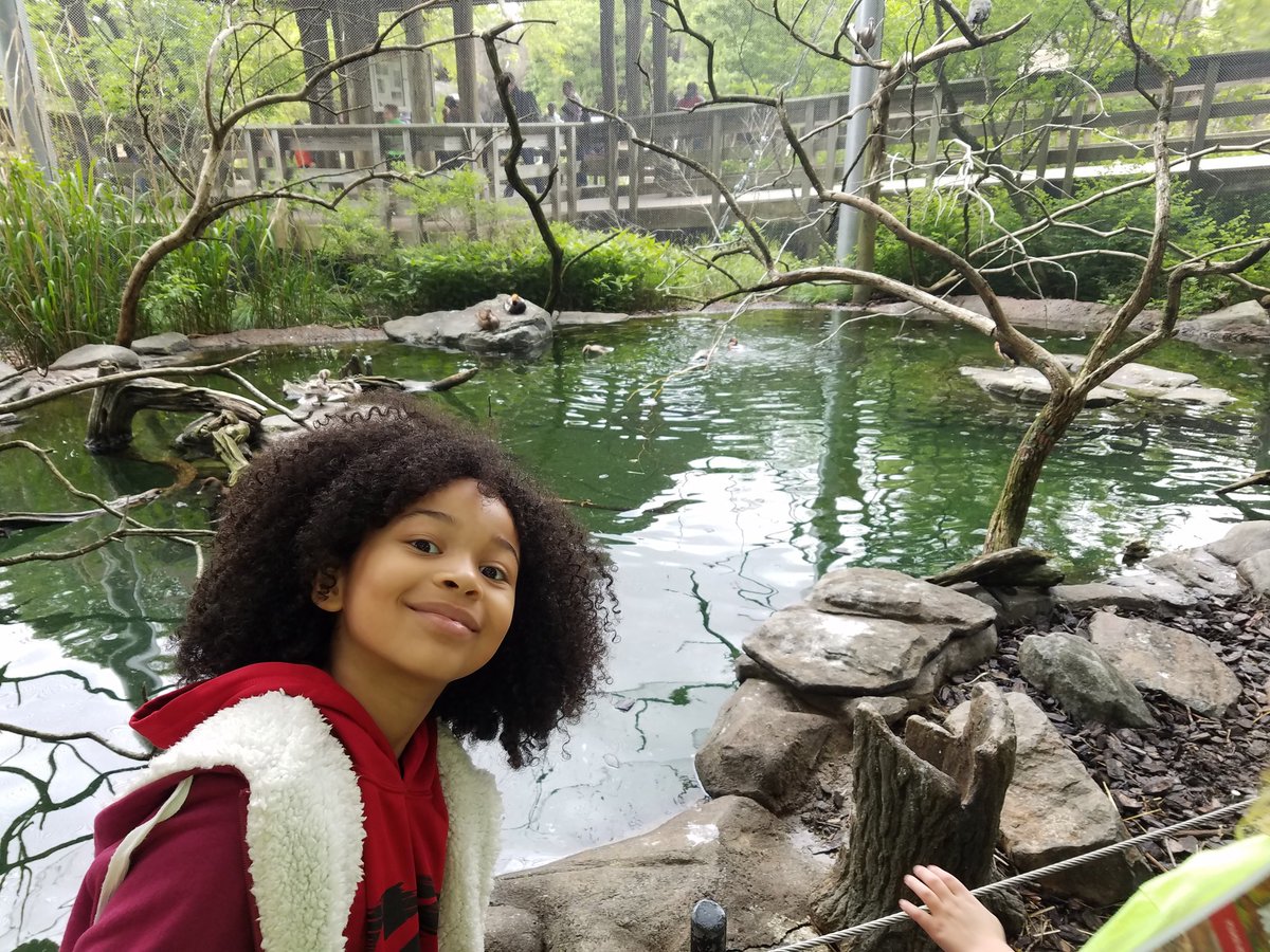 MrsShipp1's tweet photo. We're in a bird cage. First grade goes on a trip to the zoo! @lyonsmill https://t.co/gRlp3dAcbC