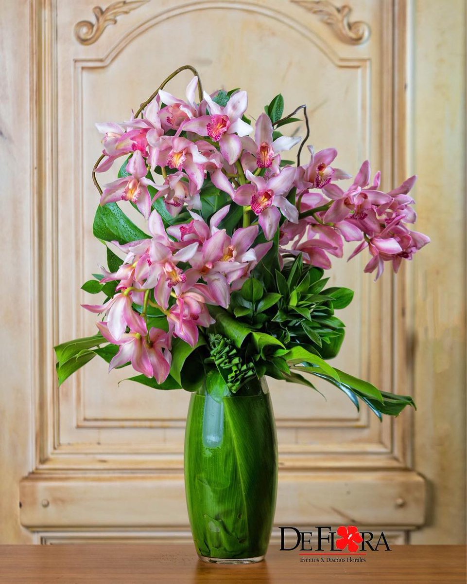 DeFlora1's tweet photo. Este mes completo, con motivo de las madres, tendremos oferta en nuestros arreglos con Cymbidiums || Ordena tu pedido y sorprende a mamá ✨ https://t.co/pjWO3ikbtF