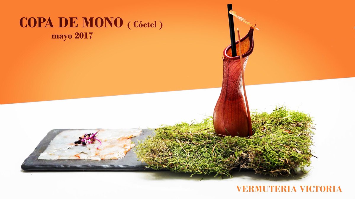 Copa de Monos <a href="/RegalRogue/">Regal Rogue</a> <a href="/jardinplantas/">Jardín Plantas</a> <a href="/turismo_burgos/">Turismo en Burgos</a>