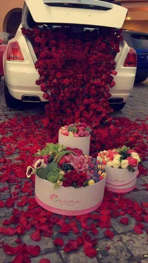 Alimnv1's tweet photo. @malbapalo @SimplesmenteSyl @kazurin4428 @alen_luciana @bobbybird49 @alkhateeb @CLASIC_MAN71 @Cris_Abdalla @07rubens @Jana3990 @WALLI27 @joseph_karem @angelicagallegs @clauskubli @Lidija_Kojic @LFSRS @argosmozart @pantone213u @Marisol2224 @BrettCateley @witch_dunk @tm_84gemini @RitaCampomori @castelobrw @Martinette1967 @SuFernandes68 @227eada8efa54eb @esfand @RaisAlGhousia @wkrawcz1 @adam99wa @Jilliemary @m_studart @MoonStormDragon @CarlonetCarlo @DilrubaLees @oce2005 @SitterBh @exploradoryanez @Anidem805 @aplacetodock @ingridpianta8 @ldys_ledys @tatysolcito @ivymarina1 @tataran1000 @Ahmad__Haif  https://t.co/4HfTM3Zejl