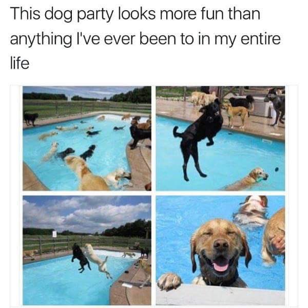 MichiganChivers's tweet image. 