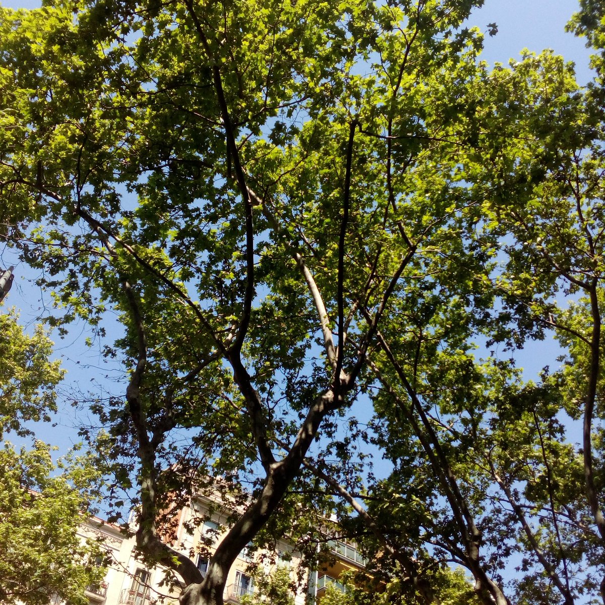 Oscar W. Maffei (@scarw23) on Twitter photo 