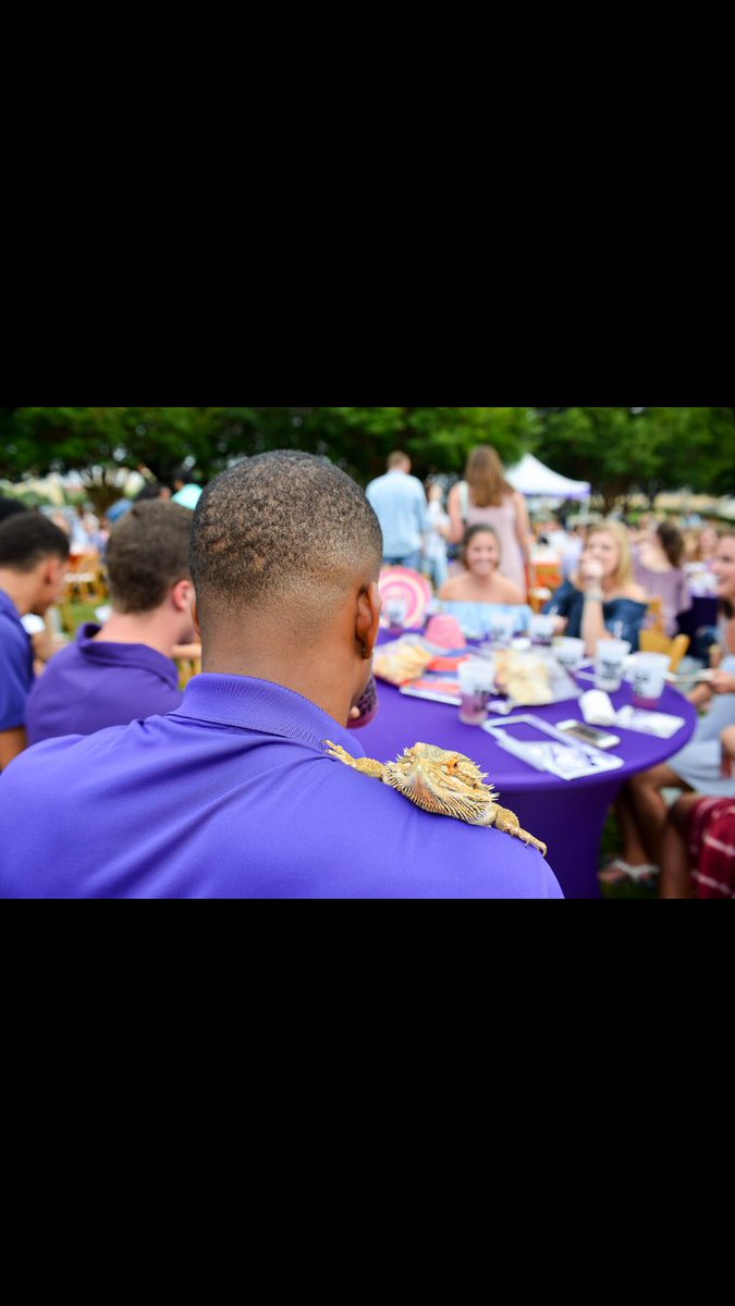 bpthatruth's tweet photo. When you & your dragon change the culture of senior toast π #GetQuavoToGraduation https://t.co/BTNLeAzy27