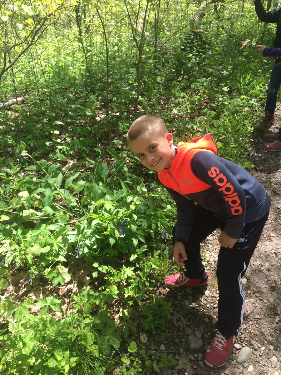 MissClaryBU's tweet photo. Awesome day at @PokagonSP full of hiking, wild flower identification, nature haikus, and exploring native animals with RP 2nd Graders! ❤️🌎🌳 https://t.co/x9WfmiHkvD