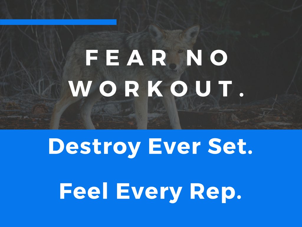 When you transform your mind and body you shut down fear. #bodybuilding #workout #fitnessbody