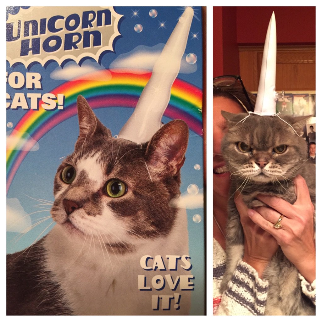 He loves being an unicorn!