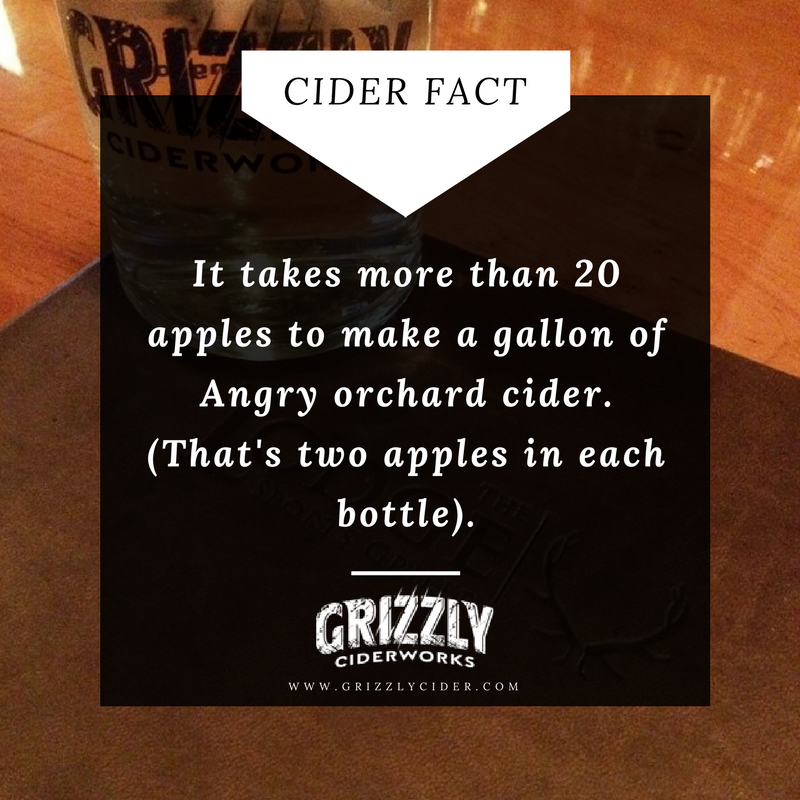 Fun Fact Friday! #funfact #hardcider