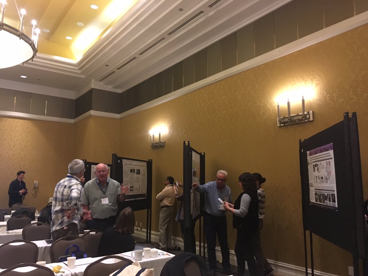 CIF_IFC's tweet photo. Great @IUFRO Working Party 7.02.02 Conference in #NiagaraFalls this week! #invasive #forestpathogens #forests @ONresources @uofg @NRCan https://t.co/y2nEwCOmnt