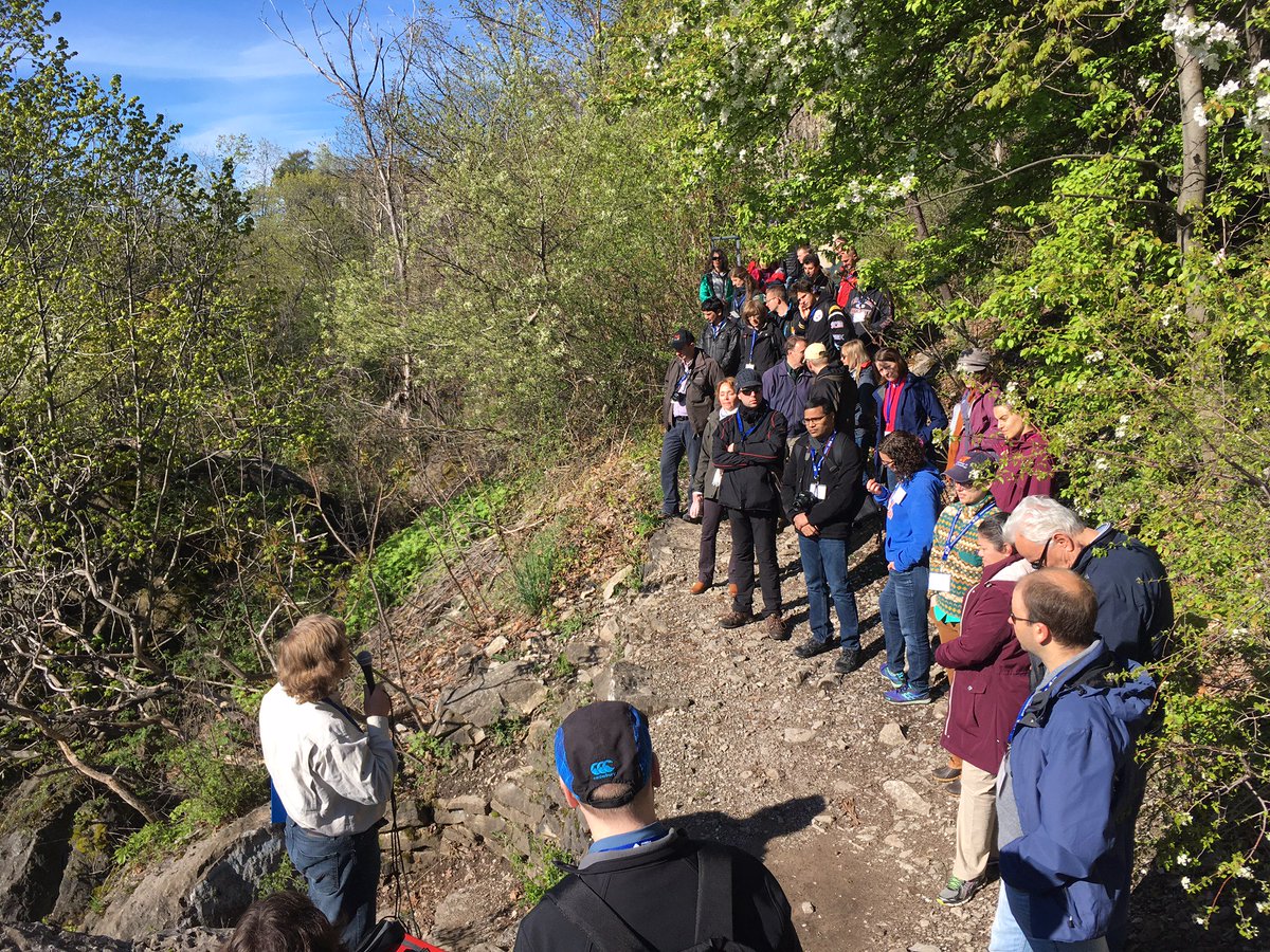 CIF_IFC's tweet photo. Great @IUFRO Working Party 7.02.02 Conference in #NiagaraFalls this week! #invasive #forestpathogens #forests @ONresources @uofg @NRCan https://t.co/y2nEwCOmnt